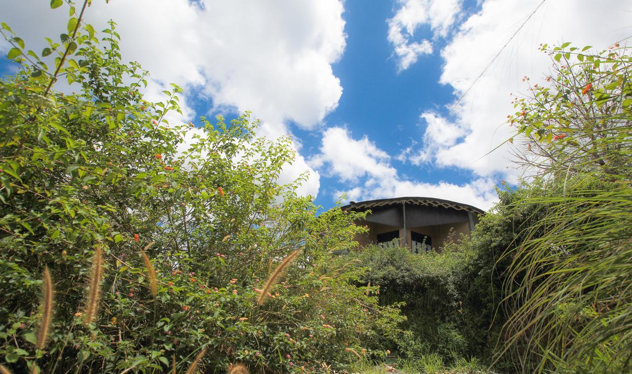 Villa Verde Ella Zewnętrze zdjęcie